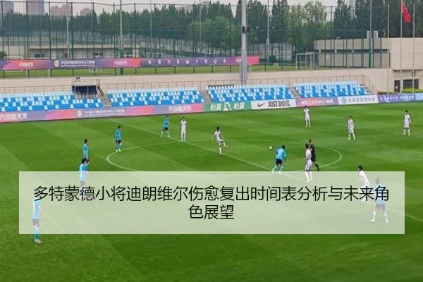 多特蒙德小将迪朗维尔伤愈复出时间表分析与未来角色展望