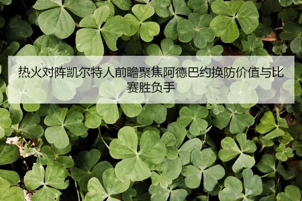 热火对阵凯尔特人前瞻聚焦阿德巴约换防价值与比赛胜负手