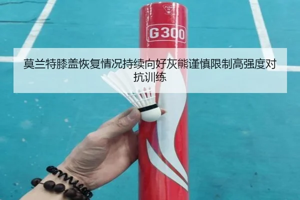 莫兰特膝盖恢复情况持续向好灰熊谨慎限制高强度对抗训练
